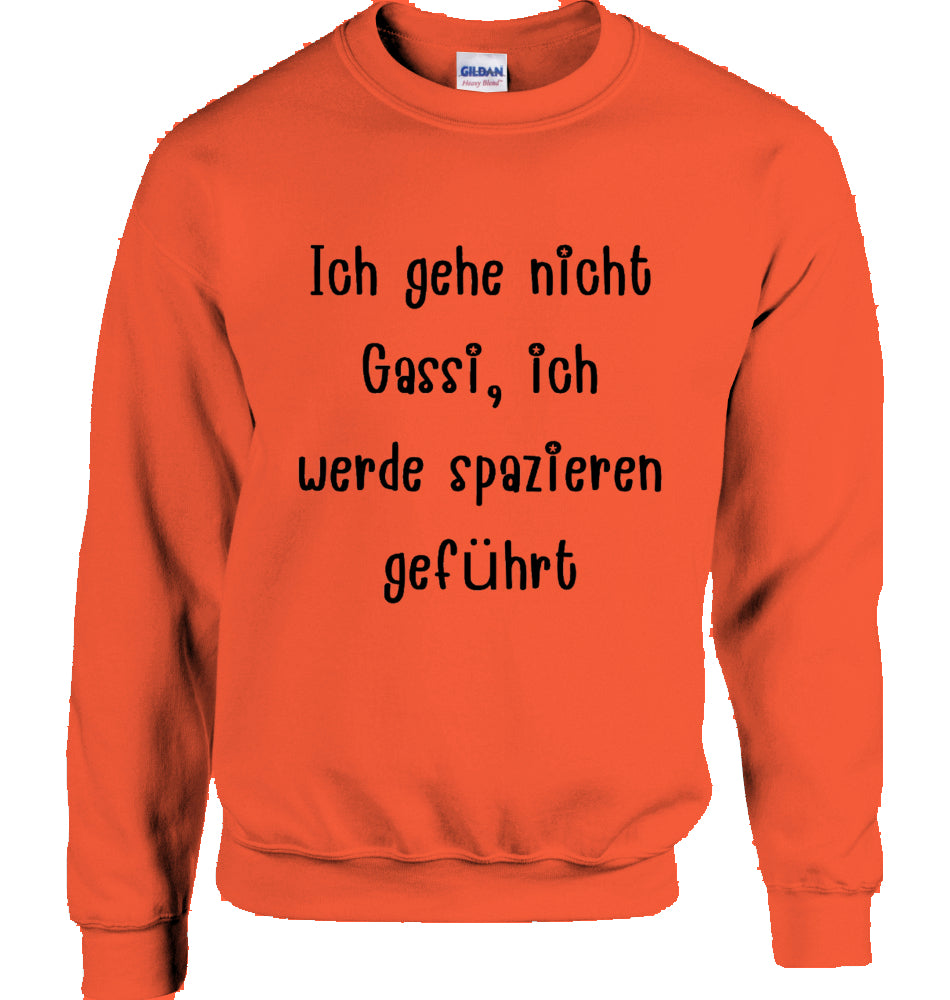 Unisex Sweatshirt mit Text und Podi Motiv