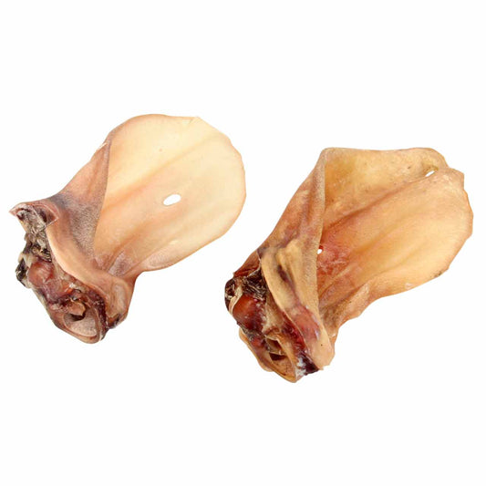 Rinderohren ohne Fell mit Muschel Groß