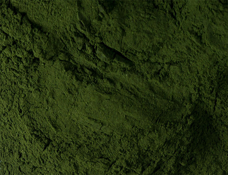 Spirulina Pulver - Proteinreiche Mikroalge