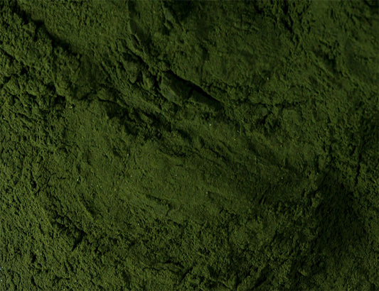 Spirulina Pulver  - Proteinreiche Mikroalge