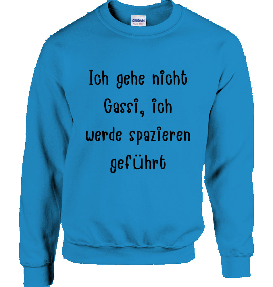 Unisex Sweatshirt mit Text und Podi Motiv