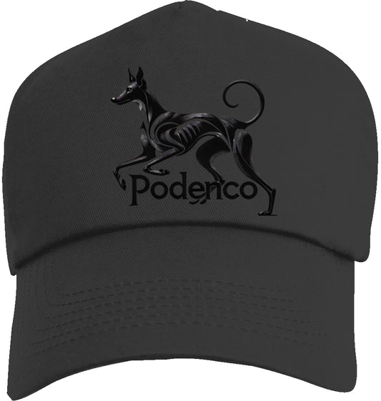 Podenco Cap 5 Panel