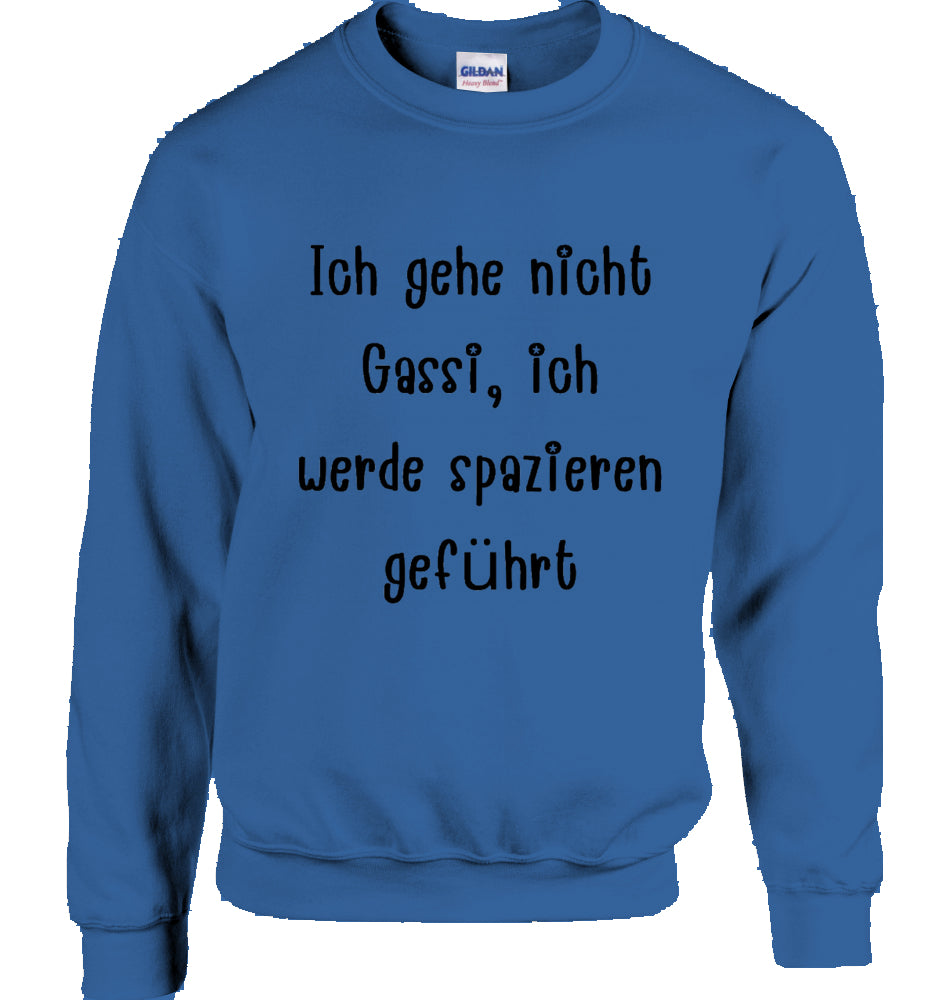 Unisex Sweatshirt mit Text und Podi Motiv