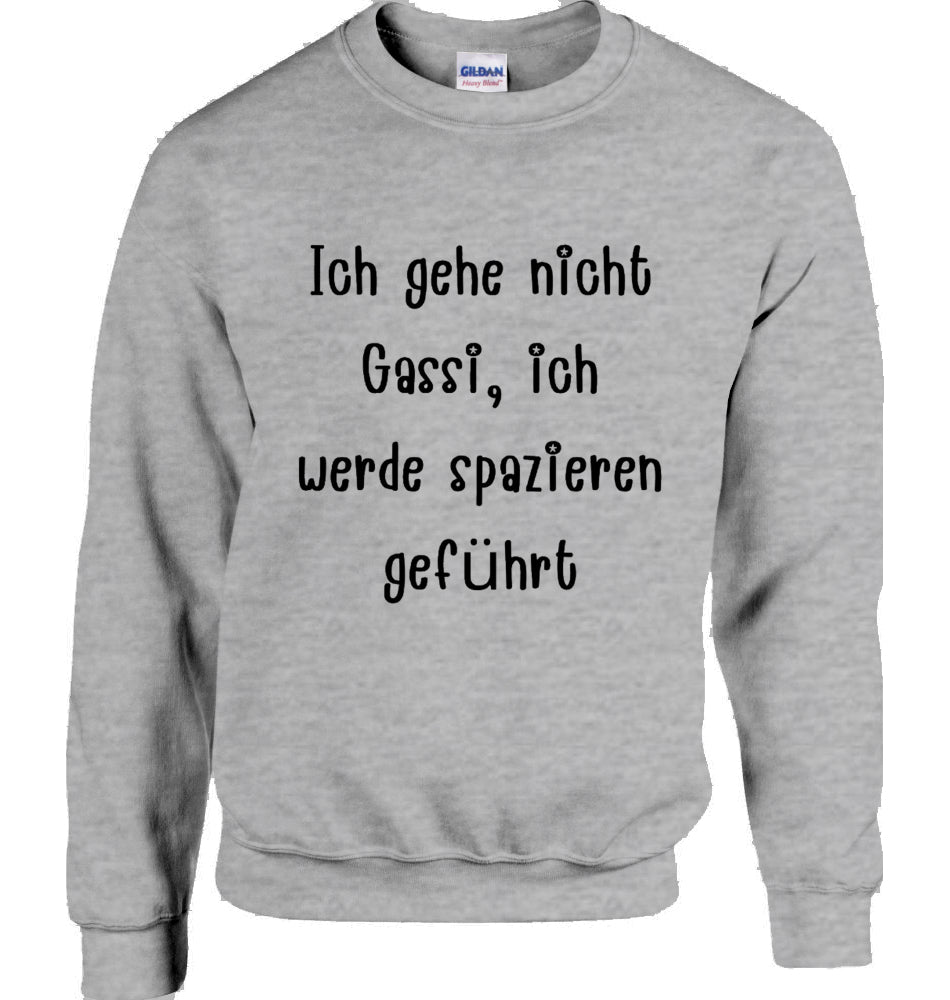 Unisex Sweatshirt mit Text und Podi Motiv