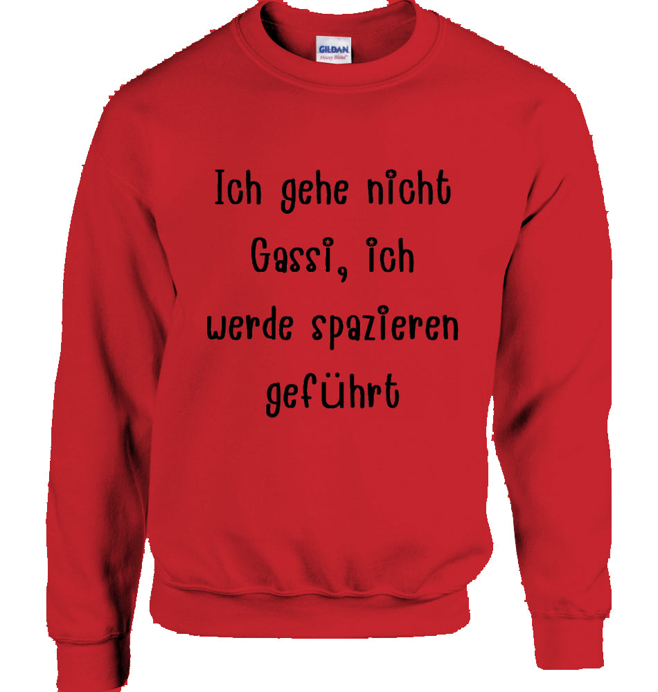 Unisex Sweatshirt mit Text und Podi Motiv