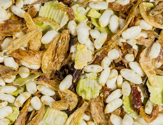 Fisch Paella Nahrungsergänzung