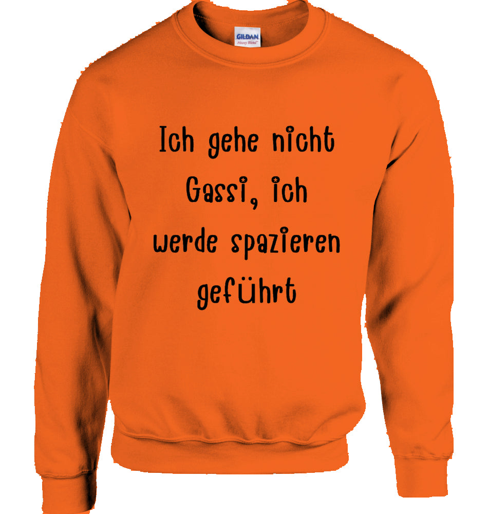 Unisex Sweatshirt mit Text und Podi Motiv