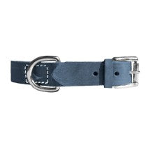Leder Halsband Hunde Jeans Gump 2cm