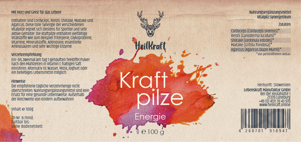 Kraftpilze Energie - Vitalpilz Synergetikum