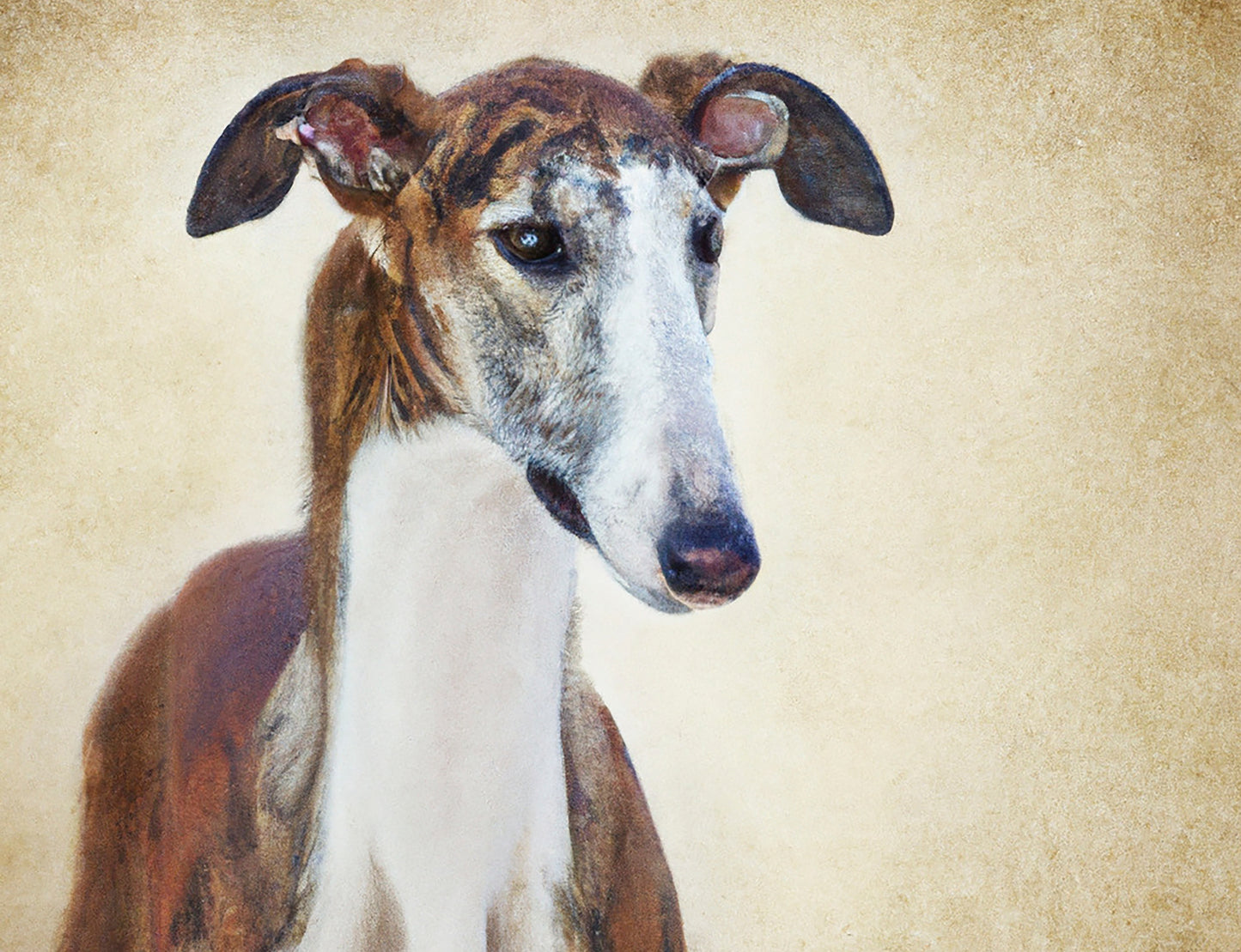 Tischset Platzdecke - Saluki TSAP011