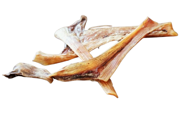 Straussen Sehne lang 35cm lang