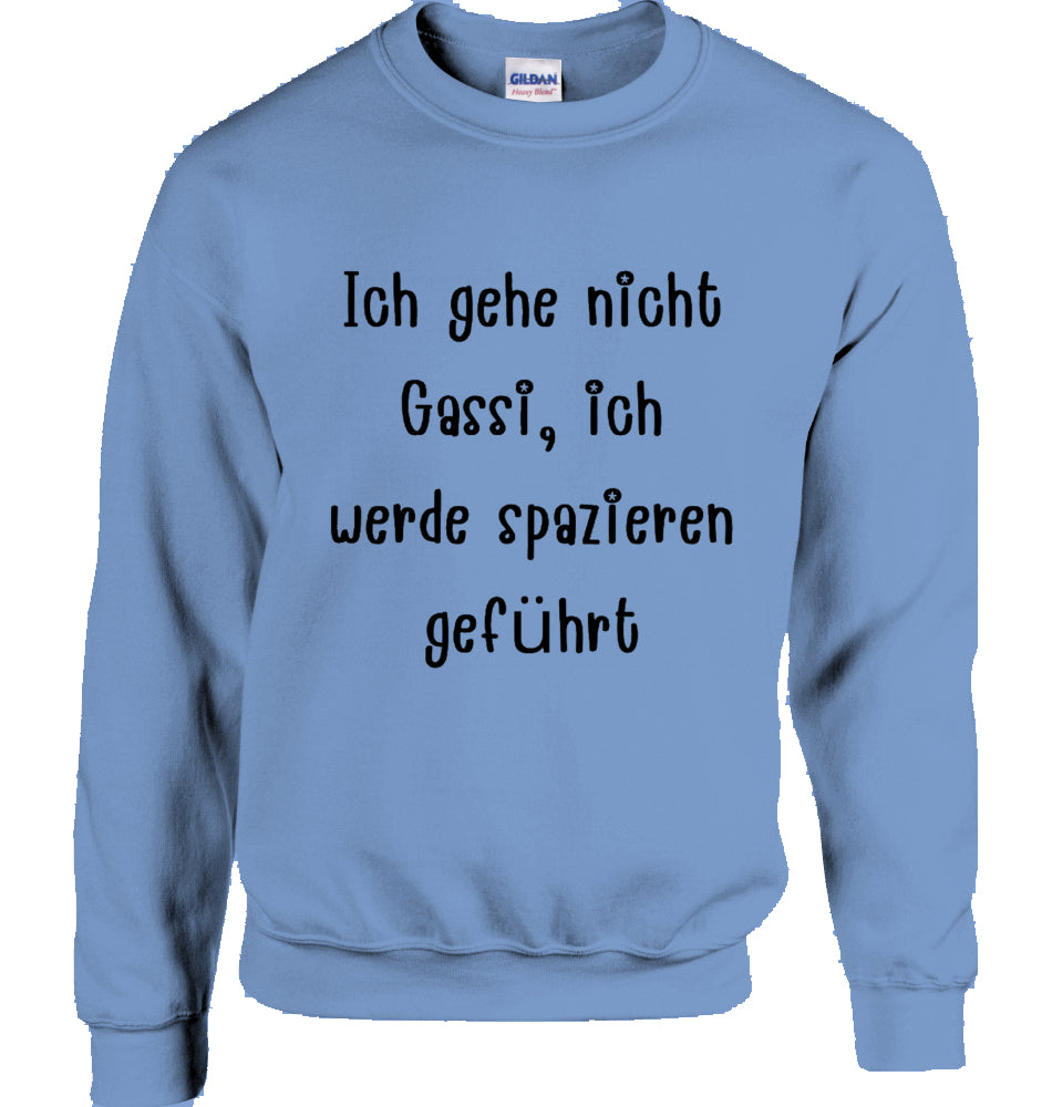 Unisex Sweatshirt mit Text und Podi Motiv
