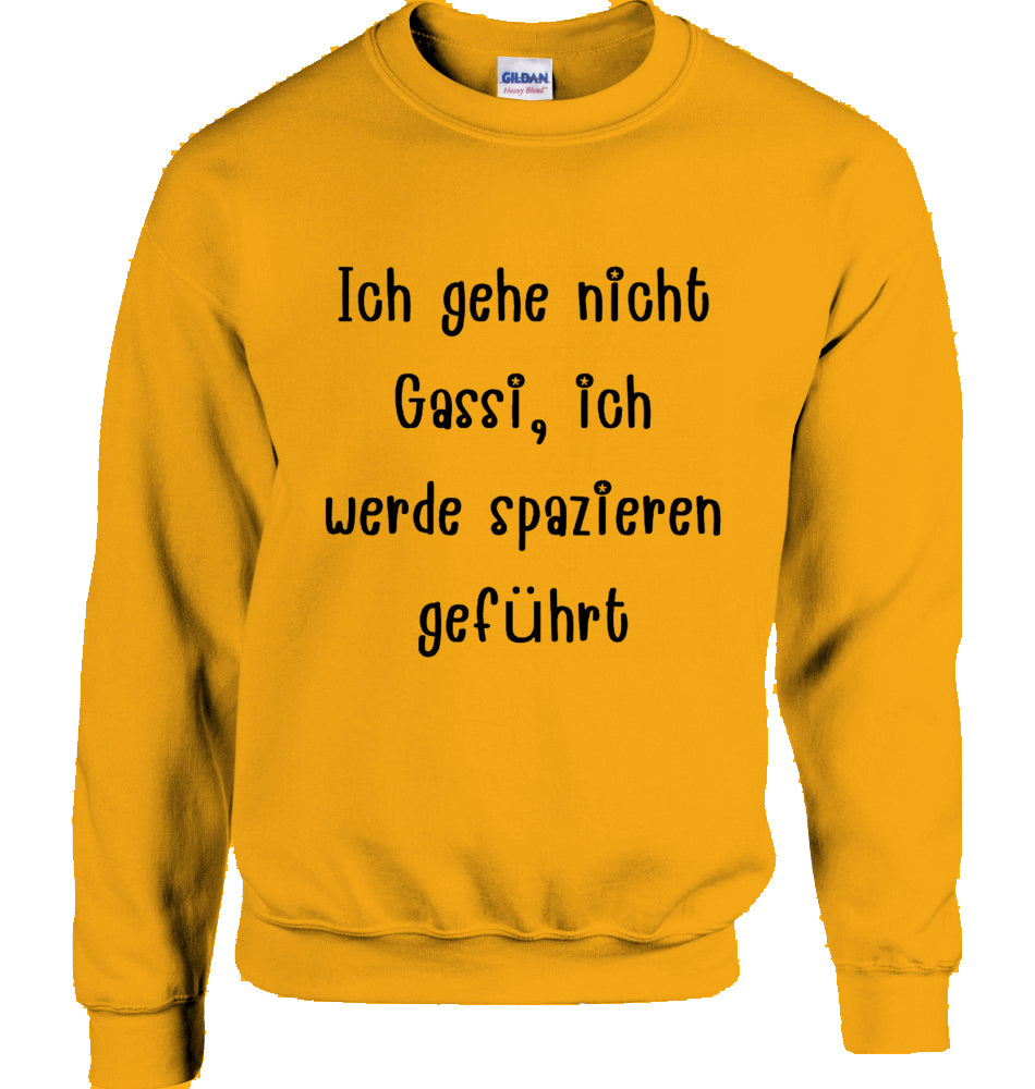Unisex Sweatshirt mit Text und Podi Motiv