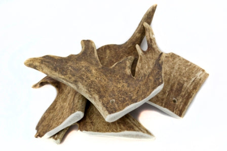 Dammwild Schäufle Hirschhorn