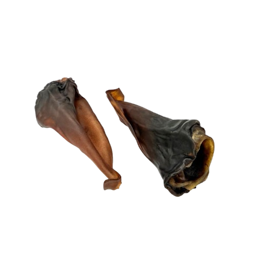 Pferde Ohren o. Fell