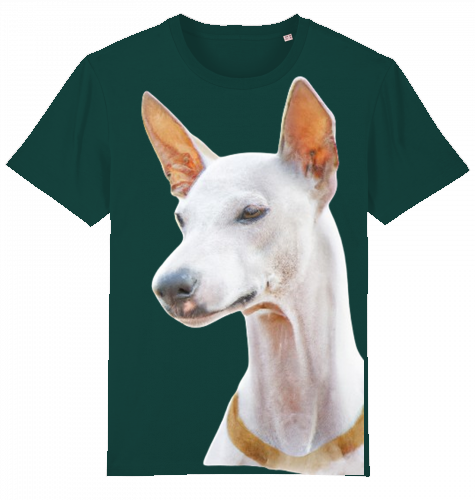 Unisex Stanley Stella T-Shirt mit Podenco Motiv XS-L