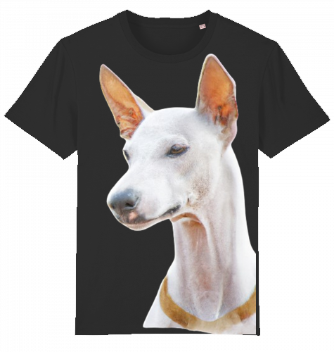 Unisex Stanley Stella T-Shirt mit Podenco Motiv XS-L