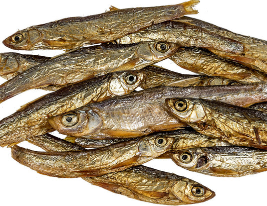 Omena Fisch   4-7cm Hunde und Katzen