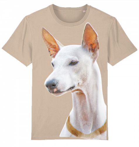 Unisex Stanley Stella T-Shirt mit Podenco Motiv XS-L