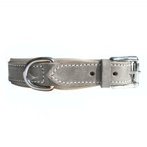 Leder Halsband Hunde Grey Gump 2,5 cm