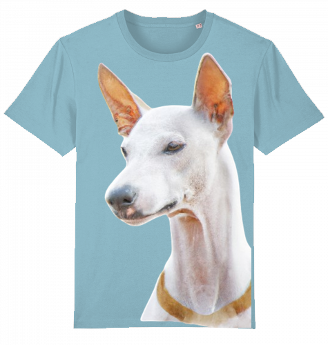 Unisex Stanley Stella T-Shirt mit Podenco Motiv XS-L