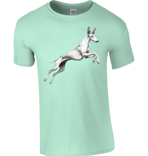 Basic Unisex T-Shirt mit Podenco Motiv