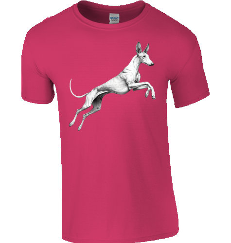 Basic Unisex T-Shirt mit Podenco Motiv