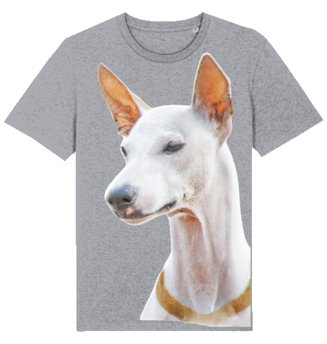 Unisex Stanley Stella T-Shirt mit Podenco Motiv XS-L