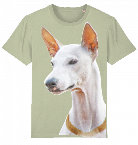 Unisex T-Shirt Stanley Stella - Podenco Motiv  XL-3XL