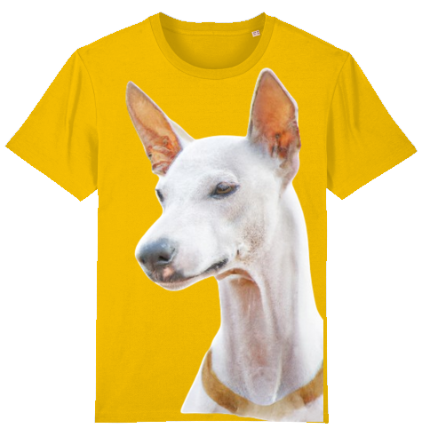 Unisex Stanley Stella T-Shirt mit Podenco Motiv XS-L