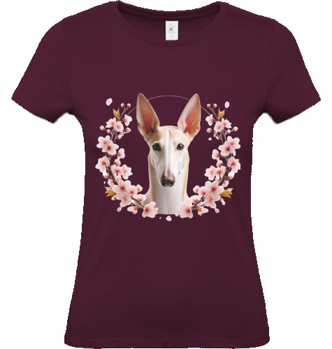 Damen T-Shirt Podenco Motiv  XS-S