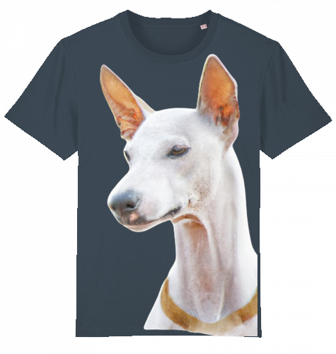 Unisex Stanley Stella T-Shirt mit Podenco Motiv XS-L