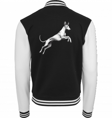 Podenco College Jacke