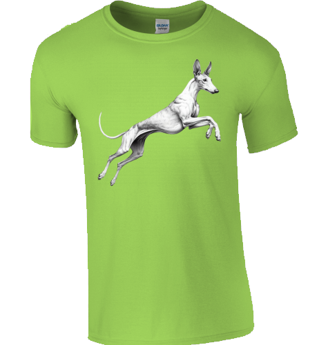 Basic Unisex T-Shirt mit Podenco Motiv