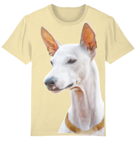 Unisex Stanley Stella T-Shirt mit Podenco Motiv XS-L