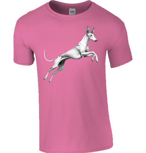 Basic Unisex T-Shirt mit Podenco Motiv