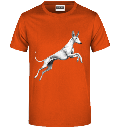 Basic Uni Sex T-Shirt mit Podenco Motiv