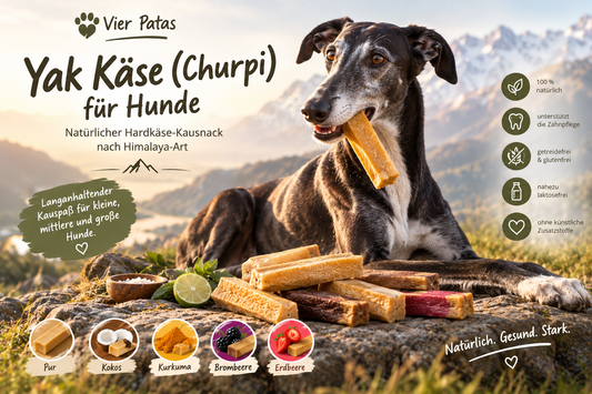 Yak Käse  ( Churpi ) – Kaustange für Hunde