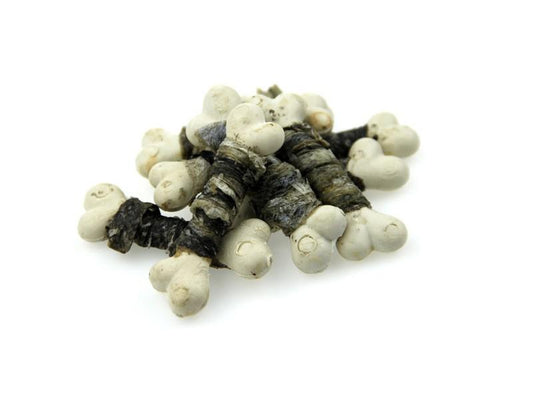 Fischhaut Calcium Knochen