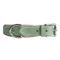 Leder Halsband Hunde Mint Gump 2,5 cm