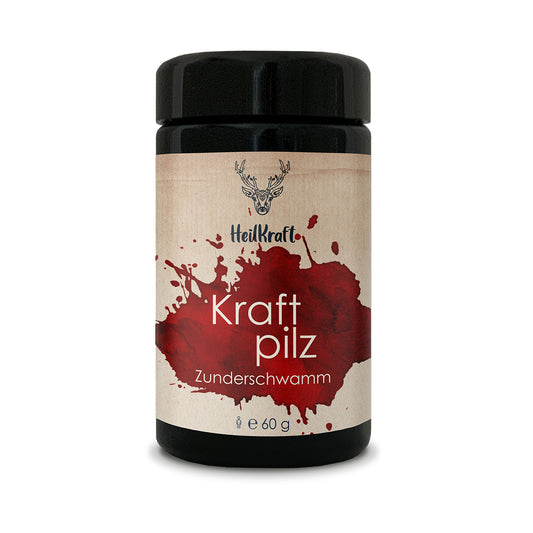 Kraftpilz Zunderschwamm - Vitalpilzpulver