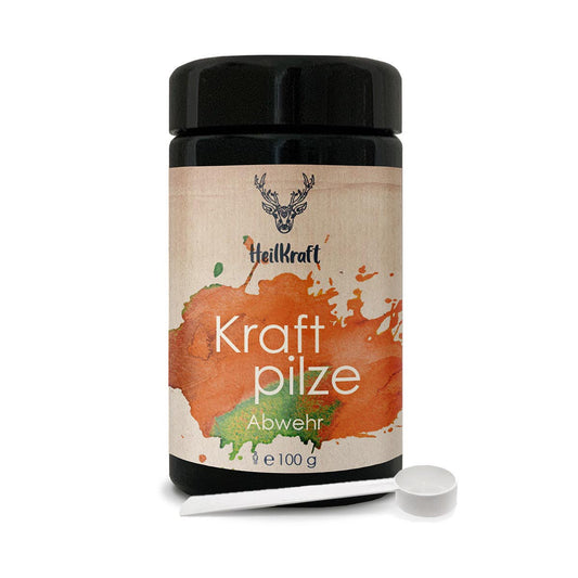 Kraftpilze Abwehr - Vitalpilz Synergetikum