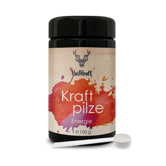 Kraftpilze Energie - Vitalpilz Synergetikum