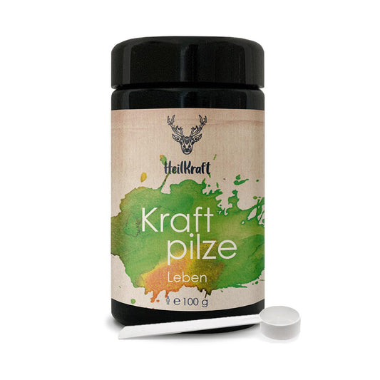 Kraftpilze Leben - Vitalpilz Synergetikum