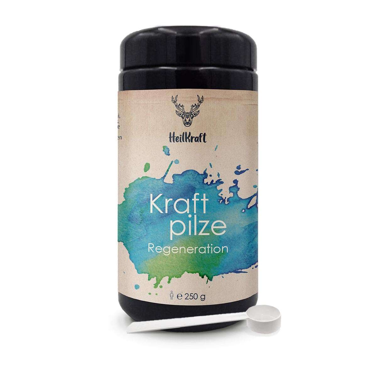 Kraftpilze Regeneration - Vitalpilz Synergetikum