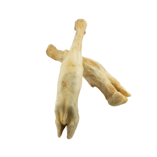 Lammunterbeine