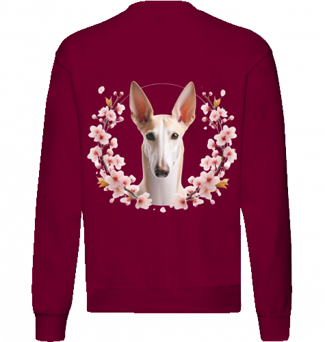 Sweatshirt Fruit of the Loom Podenco Motiv