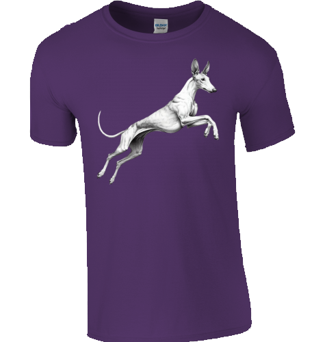 Basic Unisex T-Shirt mit Podenco Motiv