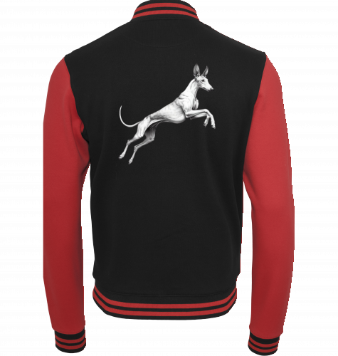 Podenco College Jacke