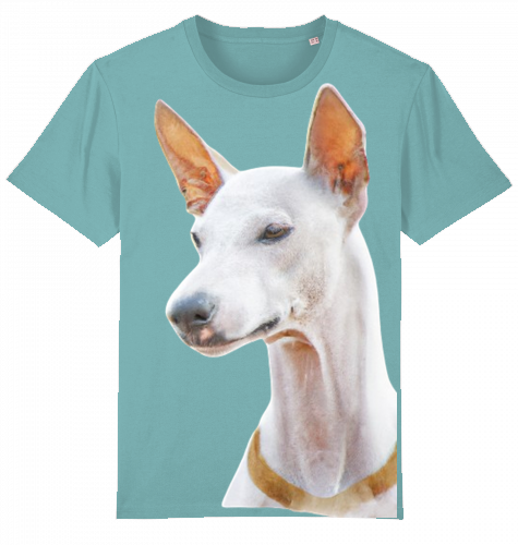 Unisex T-Shirt Stanley Stella - Podenco Motiv  XL-3XL